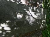 image of grave number 689063